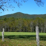 image02